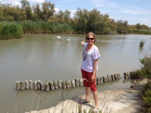 Flamingoes!